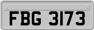 FBG3173