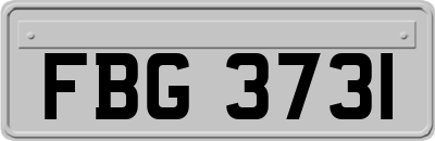 FBG3731