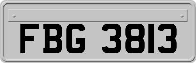 FBG3813