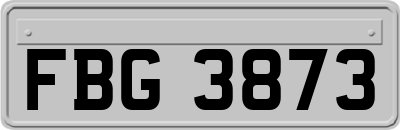 FBG3873