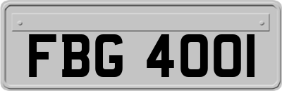 FBG4001