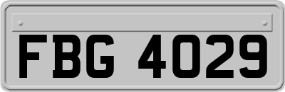 FBG4029