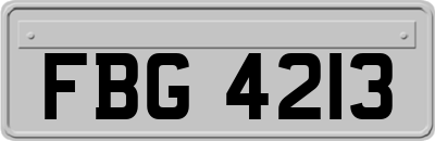 FBG4213