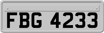 FBG4233