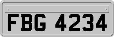 FBG4234