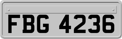 FBG4236