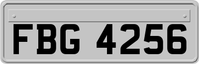 FBG4256