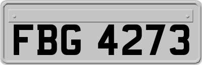 FBG4273