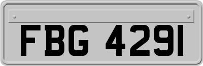 FBG4291