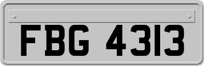 FBG4313