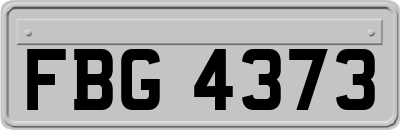 FBG4373