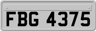 FBG4375