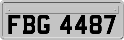 FBG4487