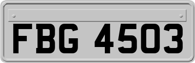 FBG4503