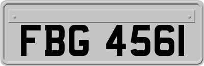 FBG4561