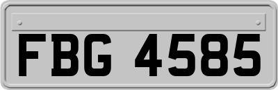 FBG4585