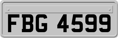FBG4599