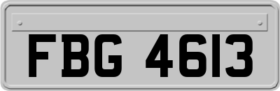FBG4613