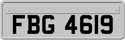 FBG4619