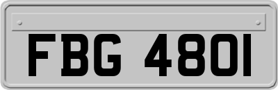 FBG4801