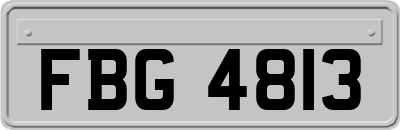 FBG4813