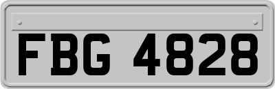 FBG4828