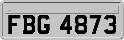 FBG4873