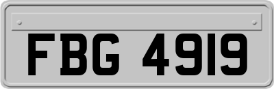 FBG4919