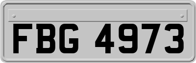FBG4973
