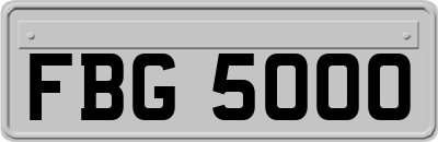 FBG5000