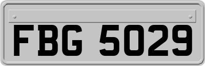 FBG5029