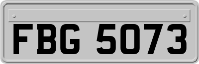 FBG5073