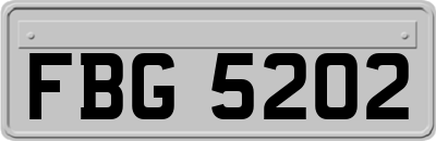 FBG5202