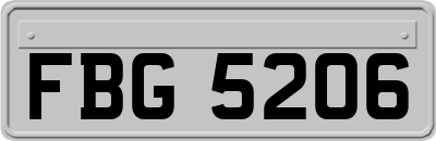 FBG5206