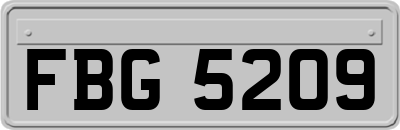 FBG5209