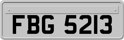 FBG5213