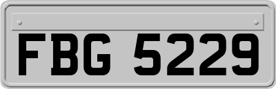 FBG5229