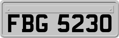 FBG5230