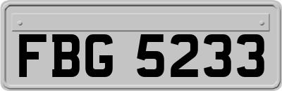 FBG5233