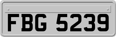 FBG5239