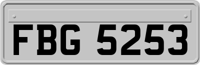 FBG5253