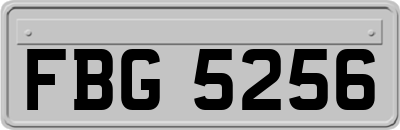 FBG5256