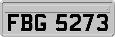 FBG5273
