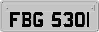 FBG5301