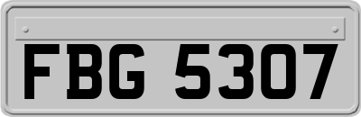 FBG5307