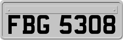 FBG5308