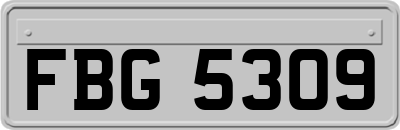 FBG5309