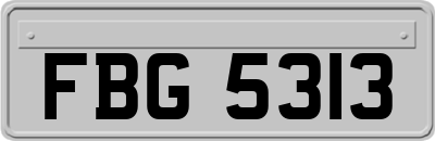 FBG5313