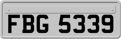FBG5339