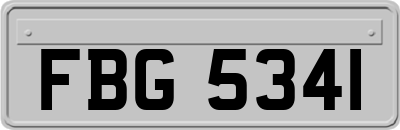 FBG5341